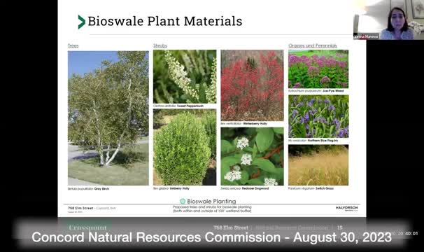 Vesna outlines meadow maintenance plans for native plant restoration in Western Massachusetts