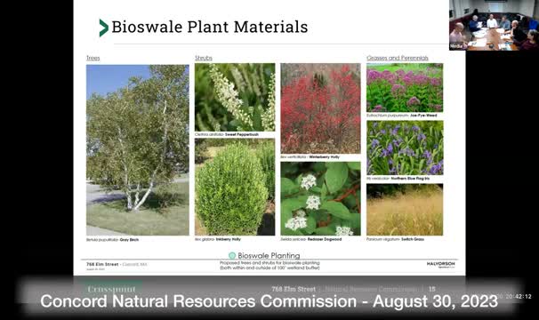 City Council reviews stormwater and traffic plans for environmental improvements