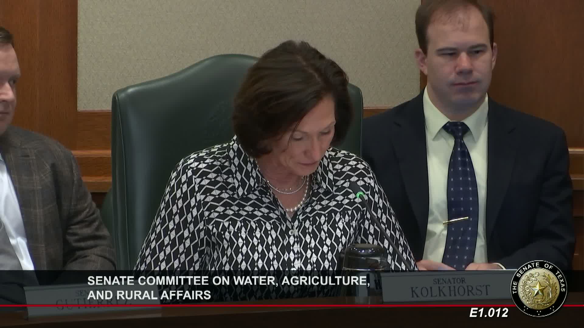 Texas House committee advances House Bill 3333 to protect Devil's River from wastewater permits