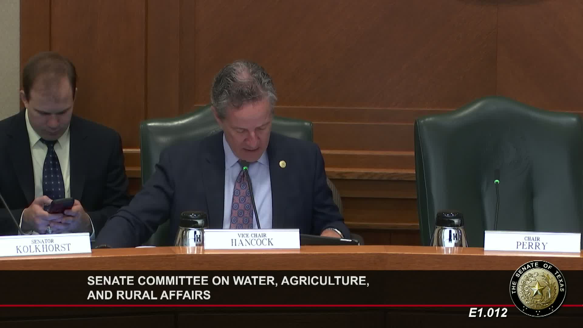 Texas House approves HB 21 28 to assess rural urban firefighting disparities