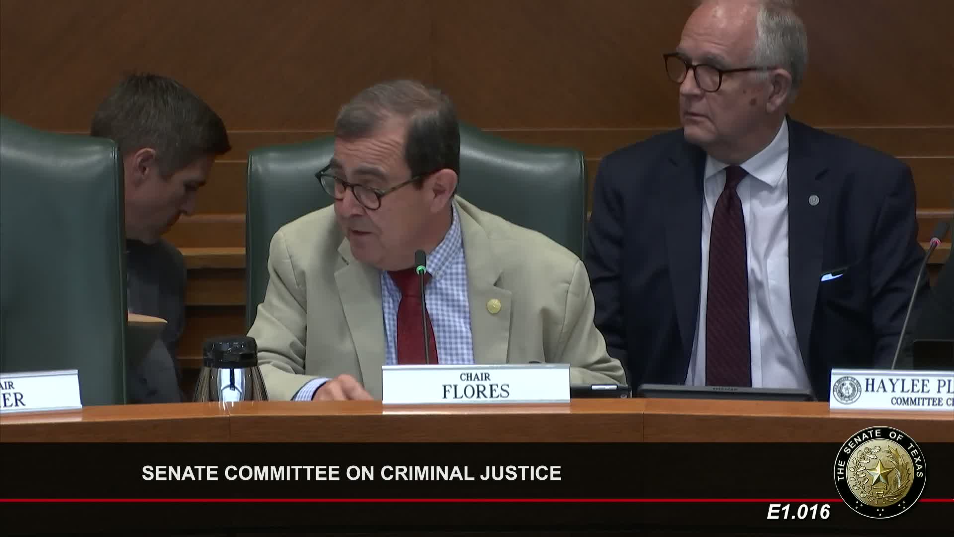 Senate committee reviews significant criminal justice bills on trafficking and grand jury reforms