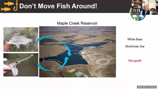 Game and Parks reports northern pike recovery at Grove and Peterson Lakes