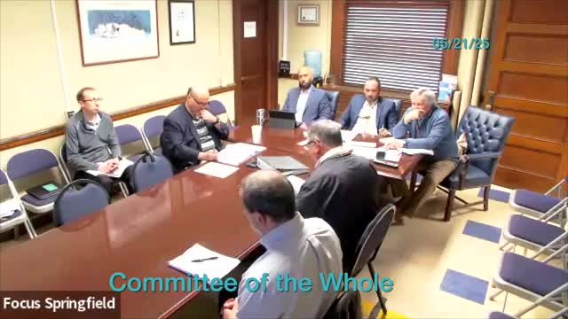 City Department outlines budget and enhanced security for public events