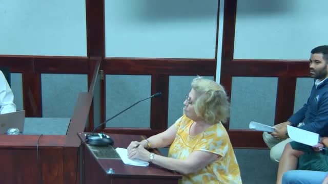 Palatka City Council debates splash pad location near Saint John's Avenue