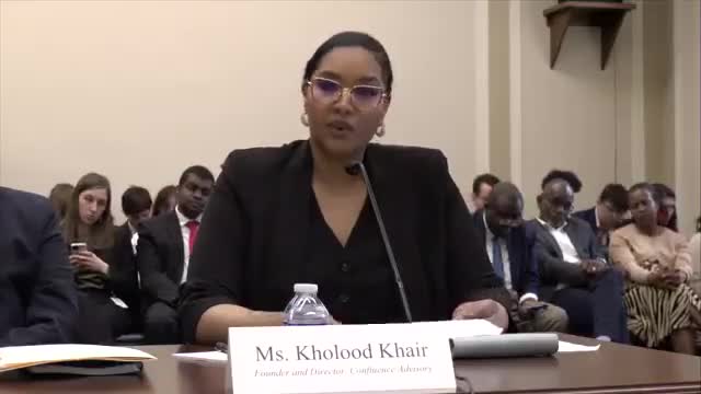 Congress presses UAE and allies to halt arms flow to Sudanese forces