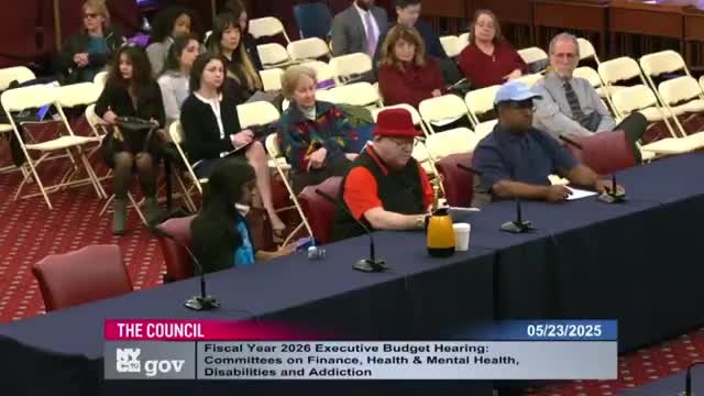 Council discusses critical funding for New York City mental health recovery programs