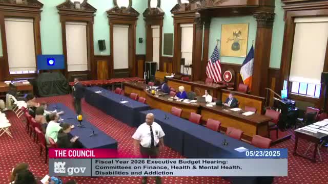 NY Cat Rescuers Advocate for Spay Neuter Funding at City Council Hearing