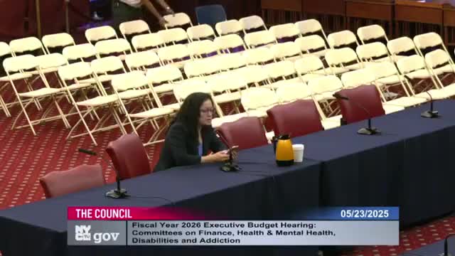 New York City Council discusses funding for immigrant health and mental health services