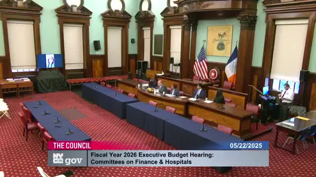 Carrie Hawkes urges NYC Council for $15M gender affirming care funding