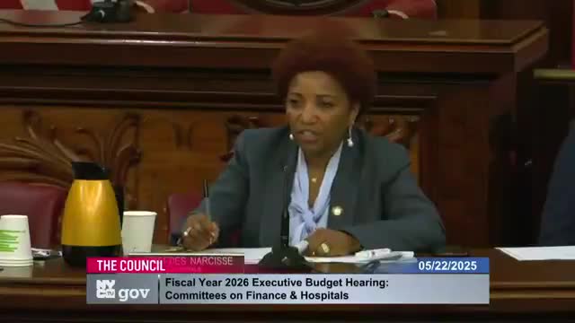 City Council reviews mental health funding and asylum seeker support initiatives
