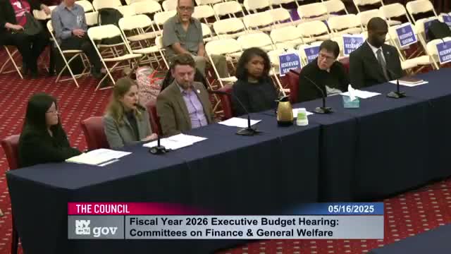 Patricia Wong advocates for funding at NYC council hearing on immigrant health initiatives