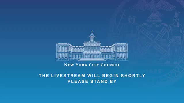 General Welfare Committee questions NYC's budget amid federal funding cuts