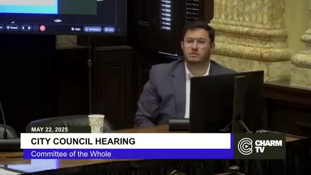 City Council emphasizes budget transparency in hearing with Director Larson