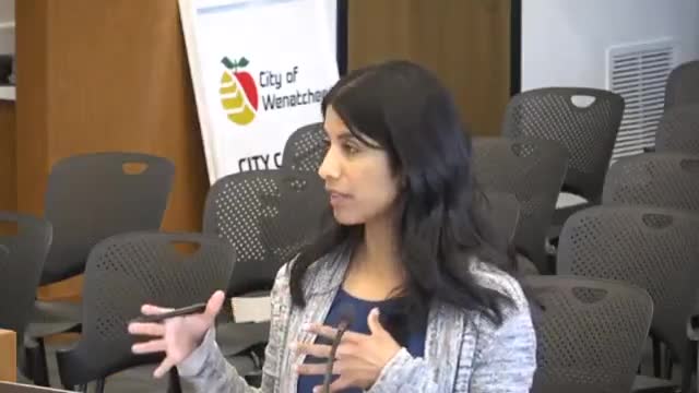 Council approves lease and option paperwork with Pivus Market Charitable Foundation; Hornby recused