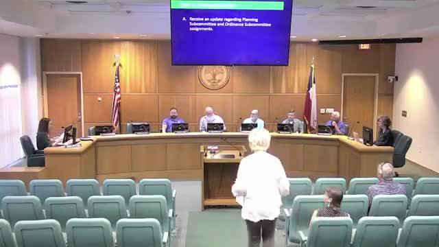 Planning commission names subcommittees, says grant money will speed comprehensive plan work