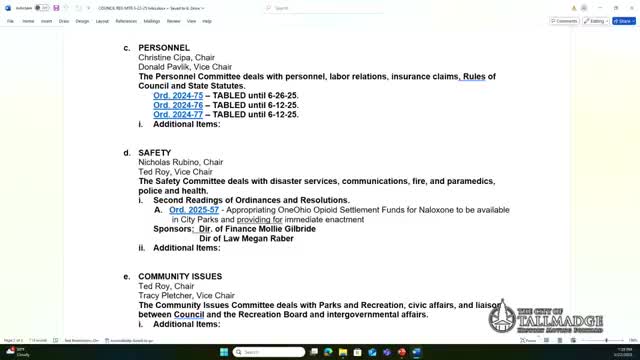 Council gives another reading to ordinance to use opioid settlement funds for naloxone in parks