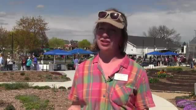 Flox Fest celebrates rewilding Missoula with focus on native plants