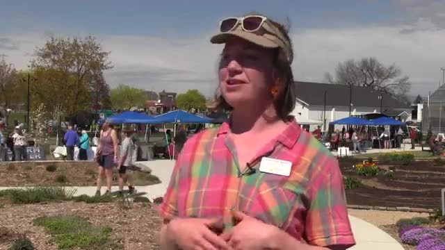 Missoula prepares for spring celebration to honor blooming native Missoula Phlox