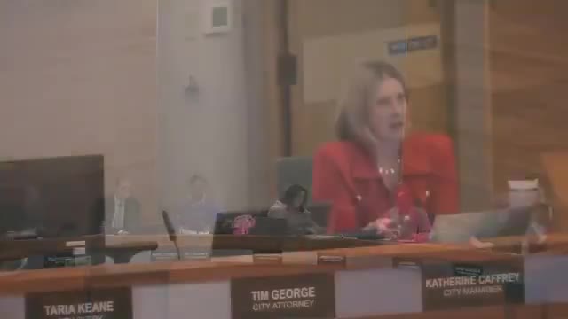 Council directs staff to merge several advisory groups into expanded Citizens Advisory Committee