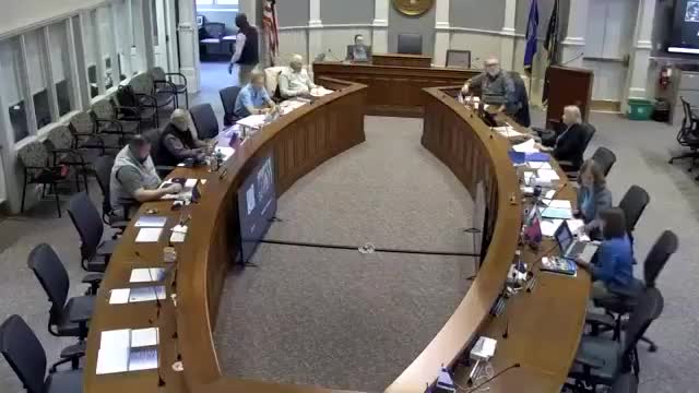 Planning department reports 19 foreclosure-related parcels; stormwater lots in Newfield remain unresolved