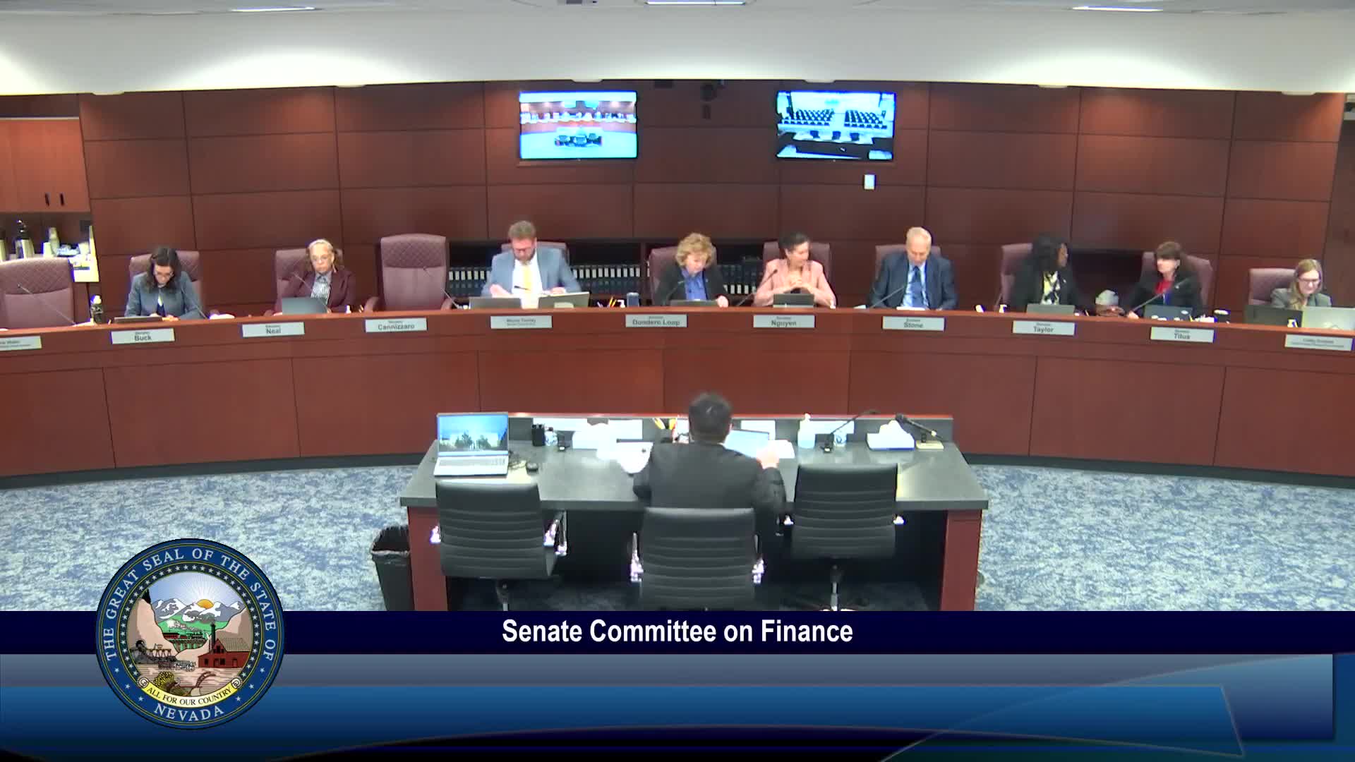 Senate Finance Hears SB 156 Amendment to Create Office for Prevention of Gun Violence; AG Says Duties Can Be Absorbed