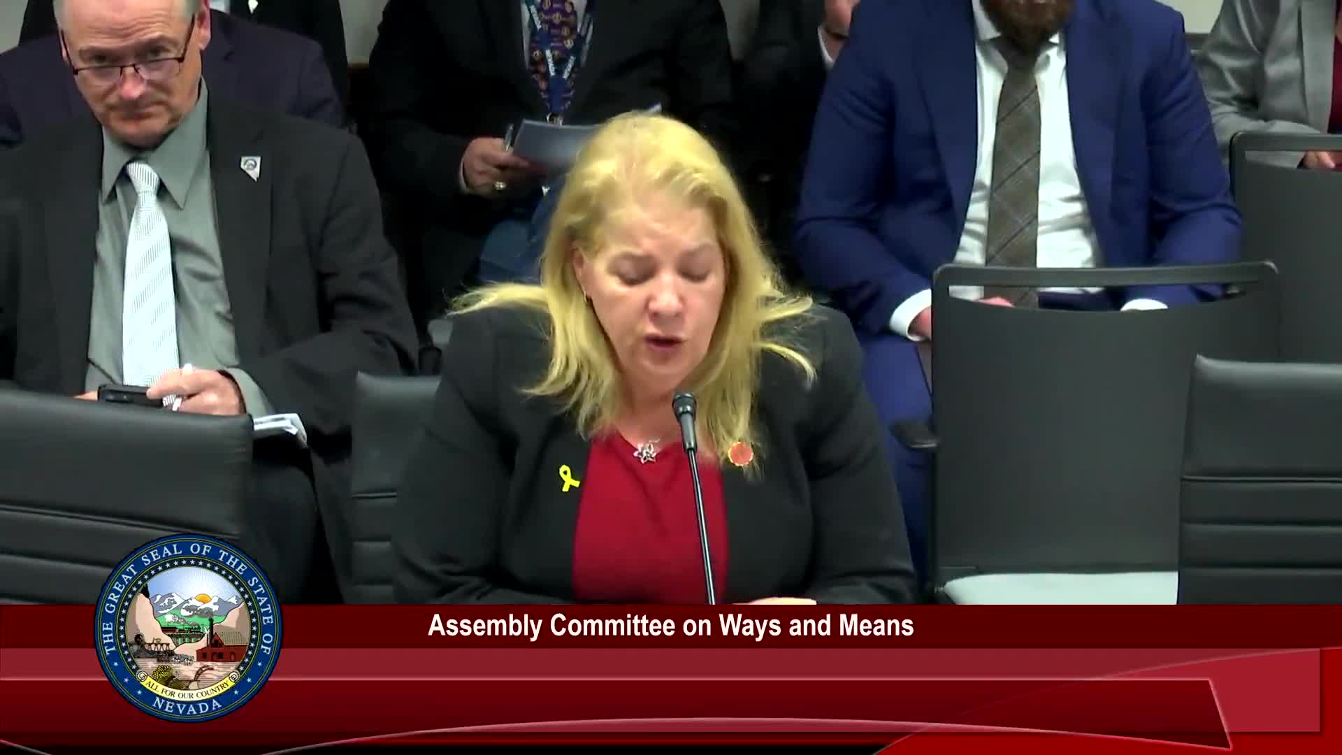 Bill to stop double inspections for MD‑DMD clinicians gets agency alignment and a zero fiscal note