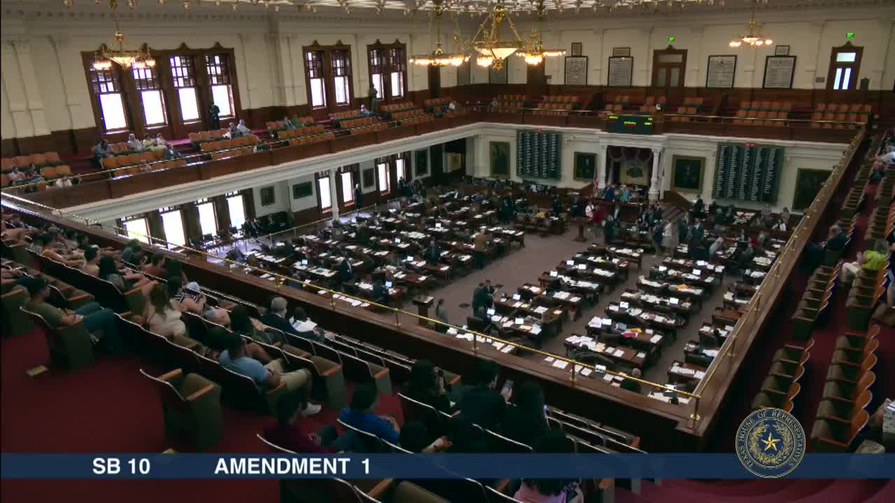 Miss Goodwin Proposes Amendment for Local Voting Decision Making
