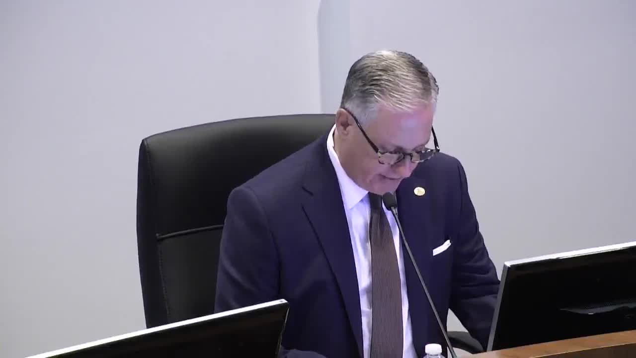 Woodlands Township Board hears from local leaders on performing arts center need