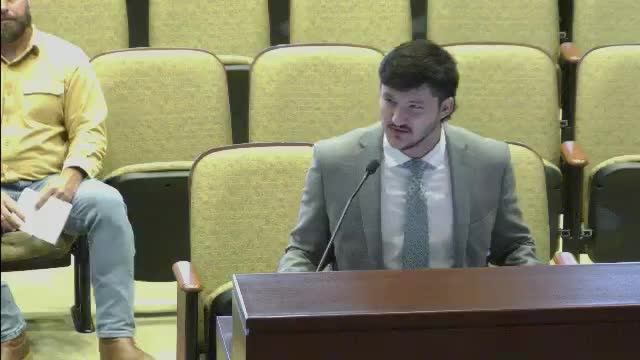 Charles Morgan Group presents updated dealership plan to address city council concerns