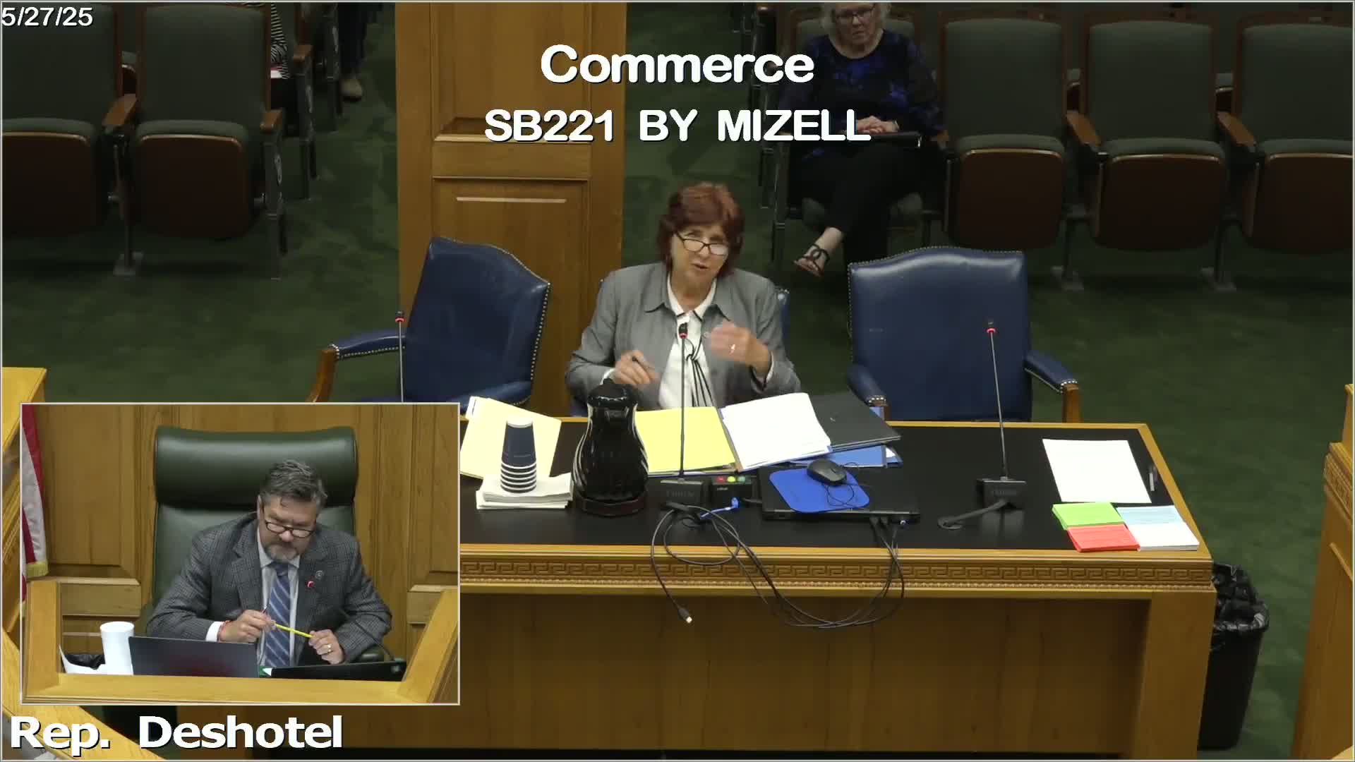 Committee discusses language barriers for women in legal representation