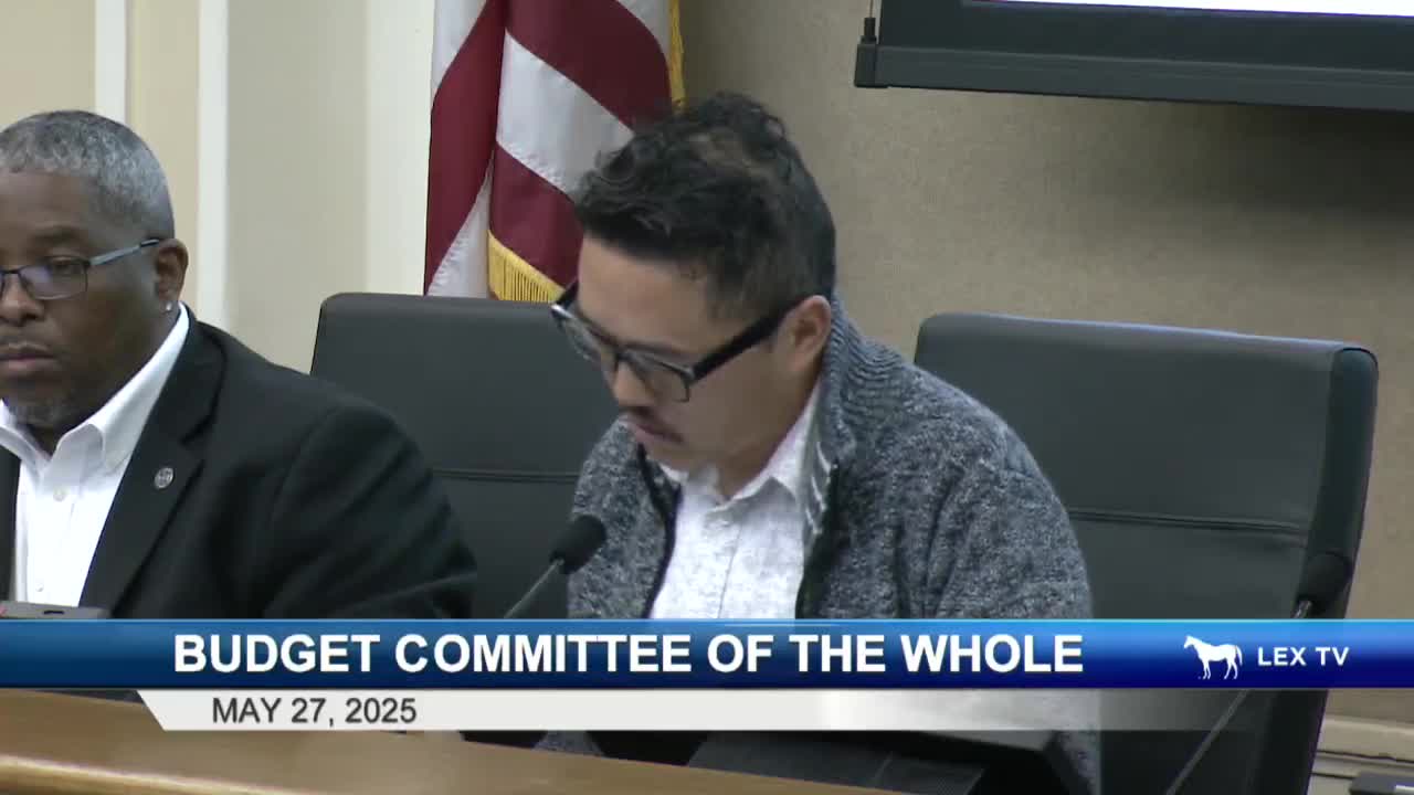 Lexington City Council discusses budget changes for expanded crisis response services