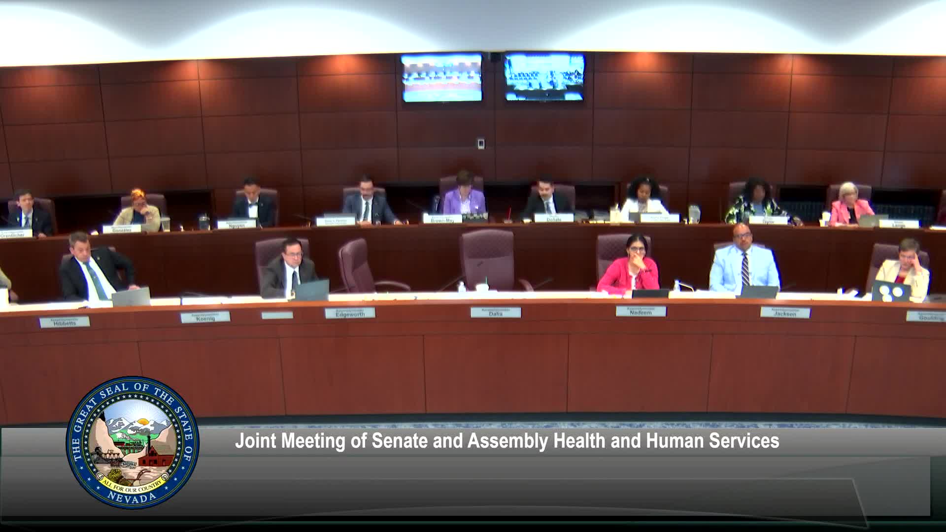 Terry Laird advocates for SP 494 at Nevada joint committee meeting