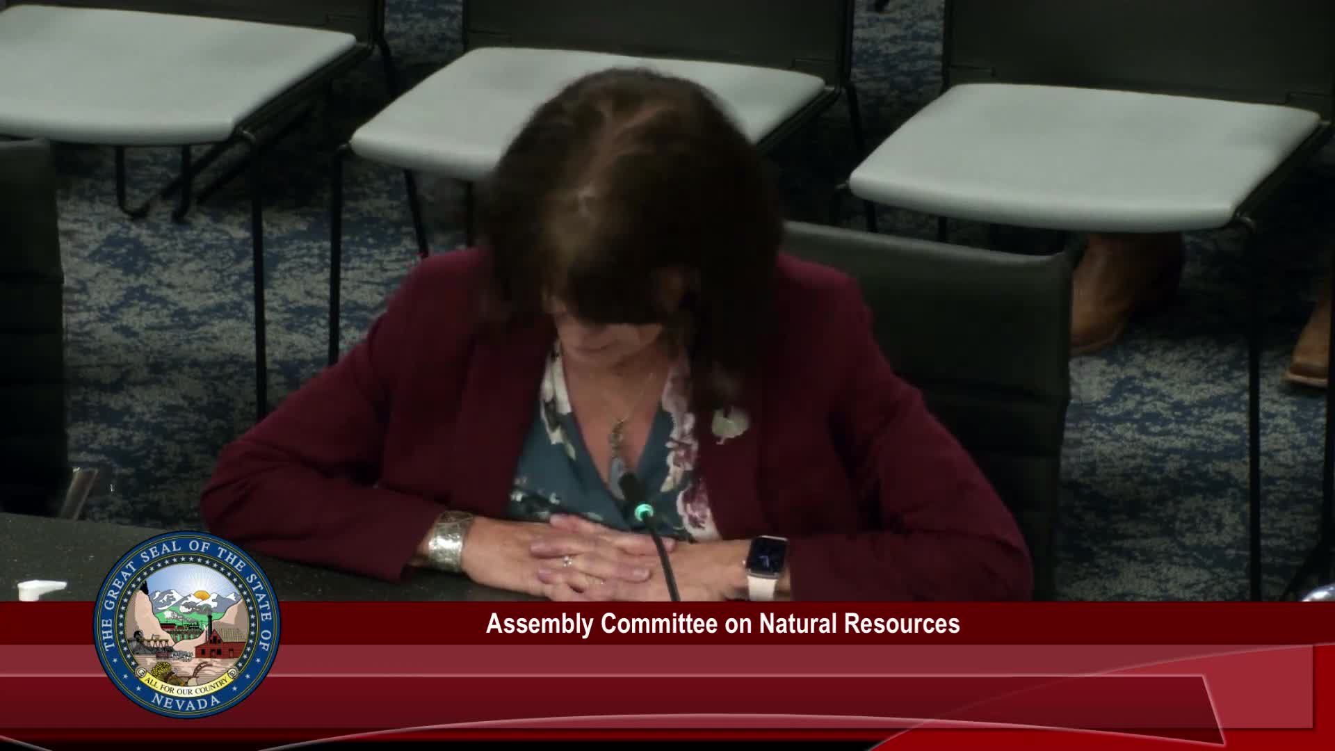 Nevada Senate advances SB 108 to enhance river channel maintenance funding