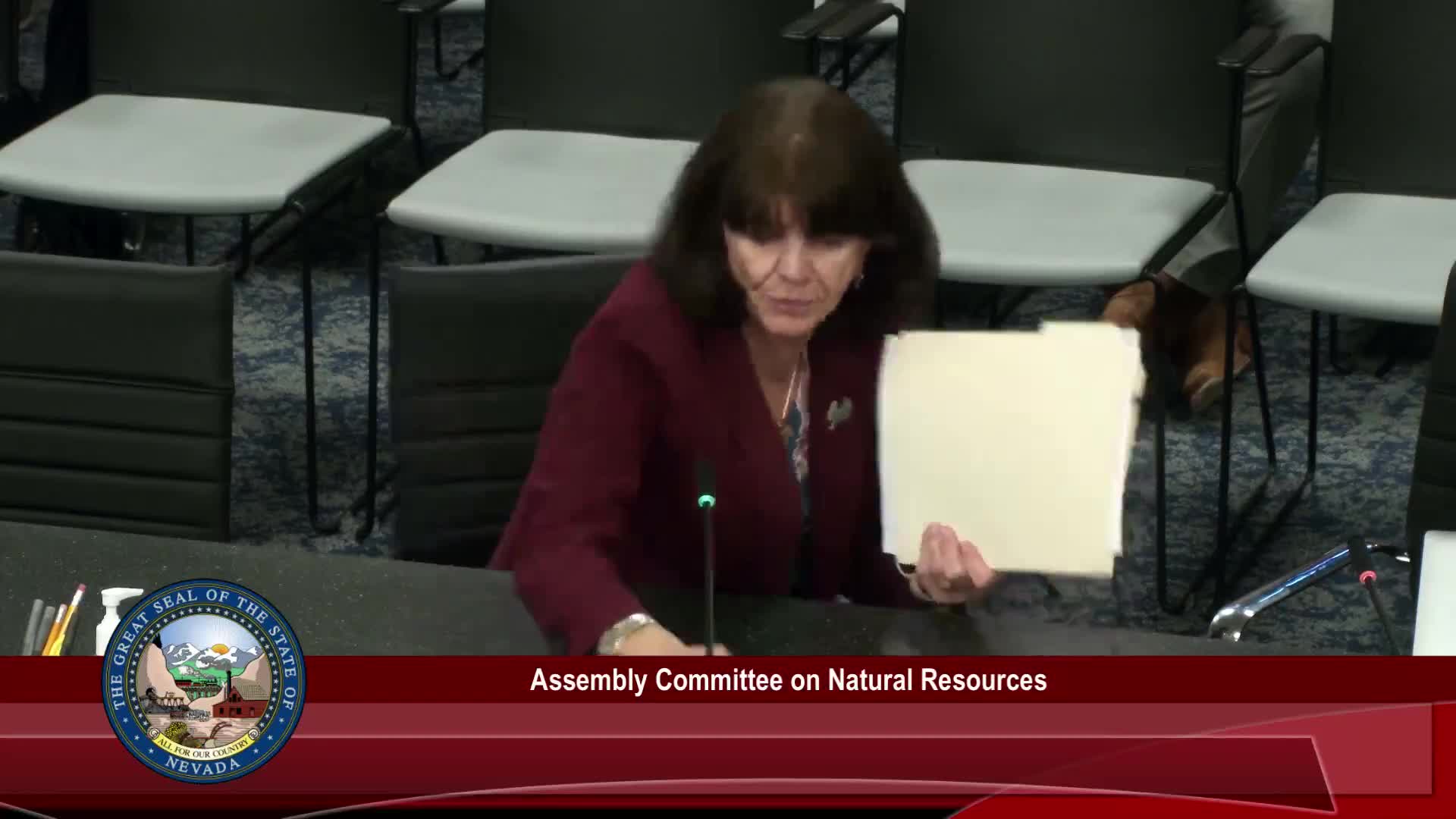 Nevada to join Interstate Mining Compact Commission under SB 464, committee advances bill