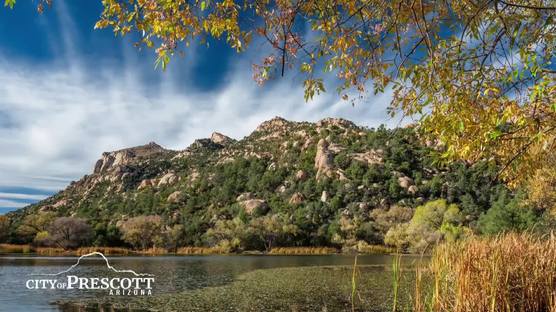 Council adopts FY26 citywide fee schedule; CPI-based increases, fee study planned for key departments