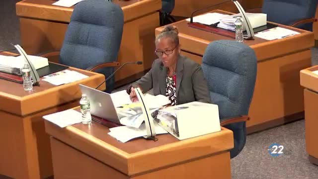 Wilmington Council discusses recruitment role for fire department amid budget considerations