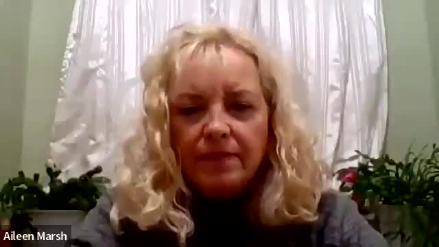 Town reports completion of Barnum Avenue tree wells, outlines playground upgrades and tree pickup schedule