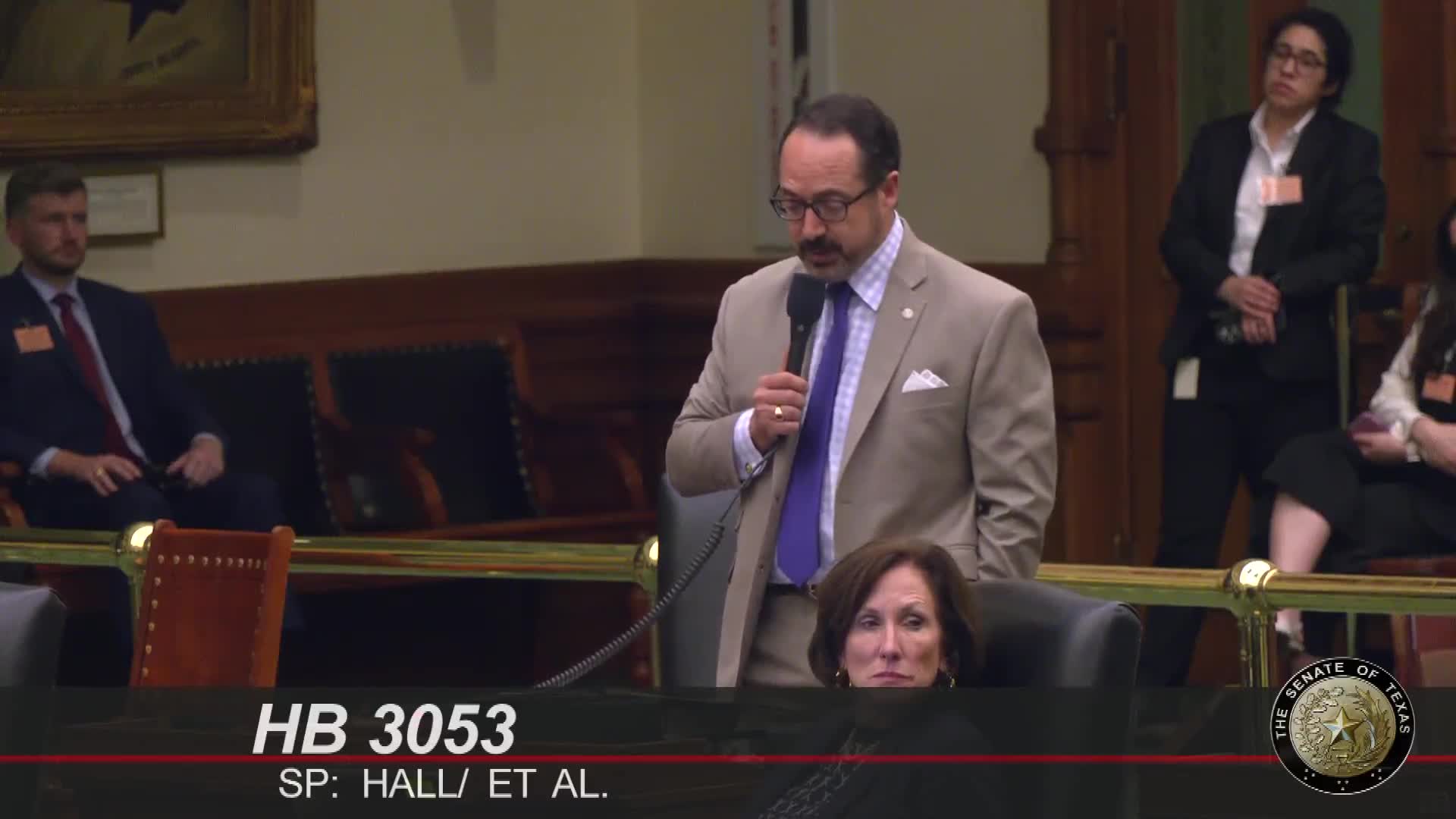 Texas Senate passes House Bill 3053 addressing gun violence and election fraud penalties