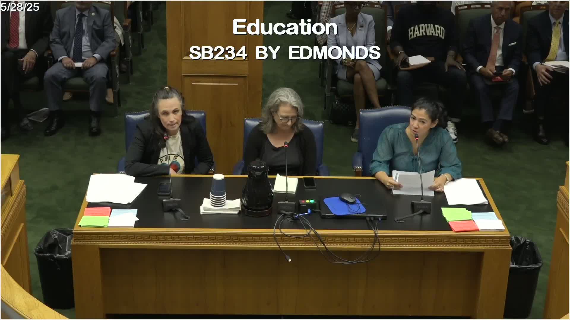 Danielle Altuzan opposes St. George school district proposal over funding concerns