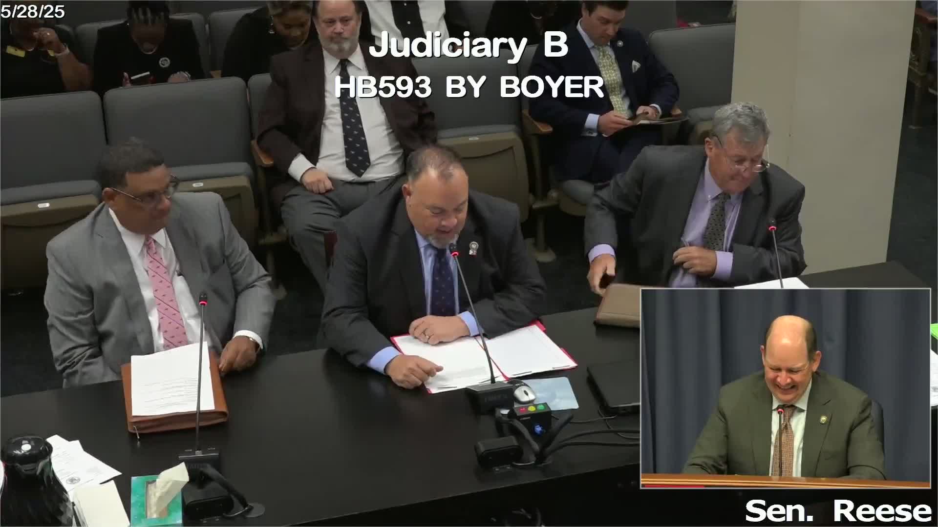 Louisiana House Bill 593 creates nonprofit for equestrian heritage and economic development