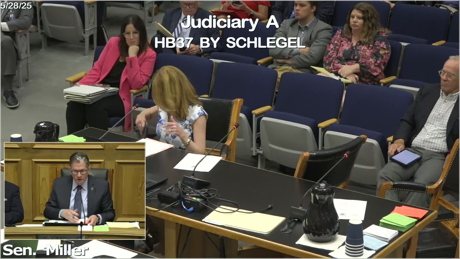 Audrey Wascomb urges amendments to House Bill 37 for minor safety protections