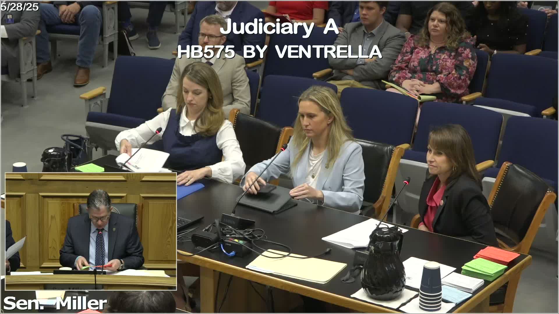 Louisiana medical professionals oppose HB 575 citing risks to patient care and liability fears