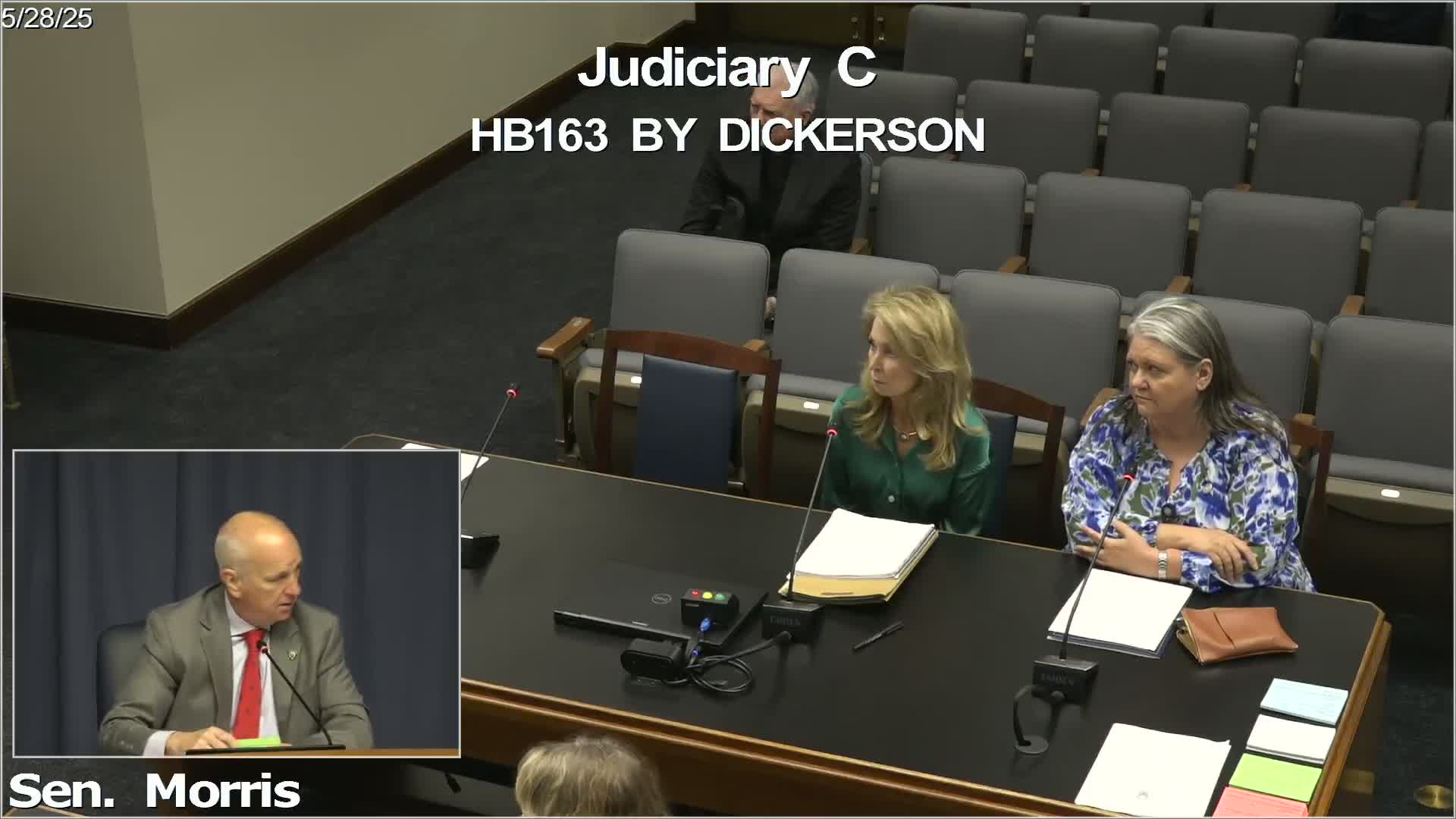 Senator Barrow advances House Bills 163 and 141 for children's organizations and bail reform