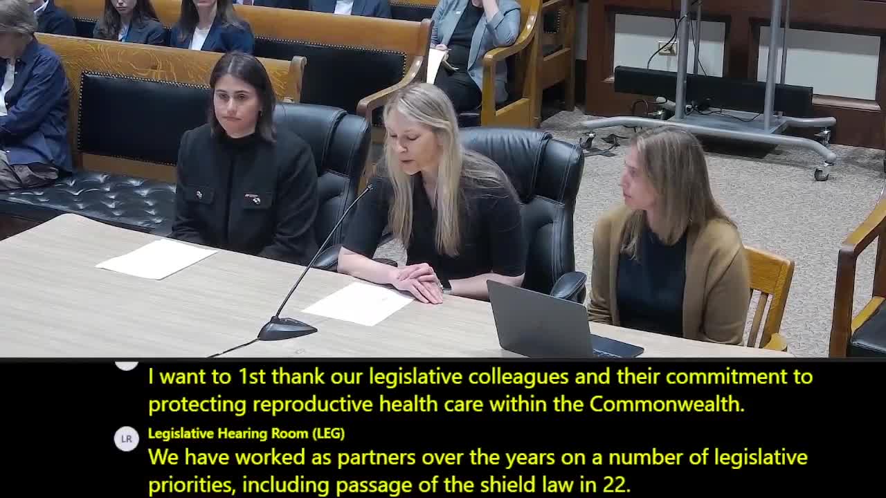 Doctor Chloe Zara urges Massachusetts to protect reproductive health providers from legal threats