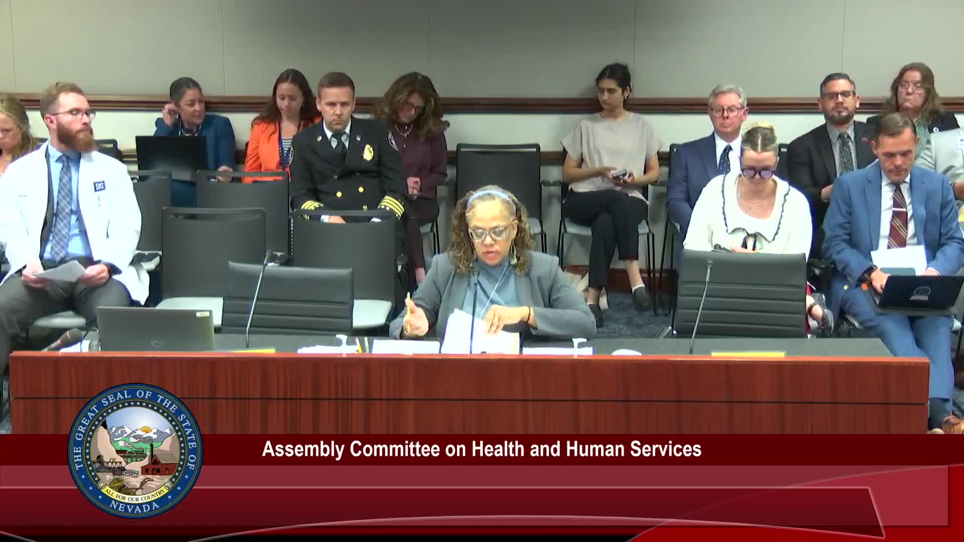 Healthcare Policy addresses interpreter access for deaf birthing patients and youth mental health assessments