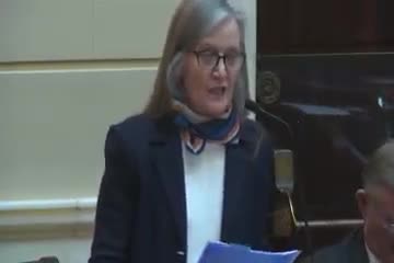 Senate passes bills to fund public art for 2034 Olympics and regulate micro schools