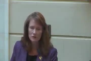 Senate debates energy storage and decentralized organization bills amid school concerns