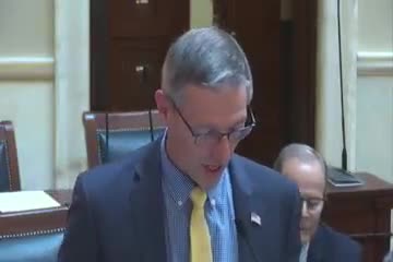 Senate passes House Bills targeting defamation and weapon possession regulations