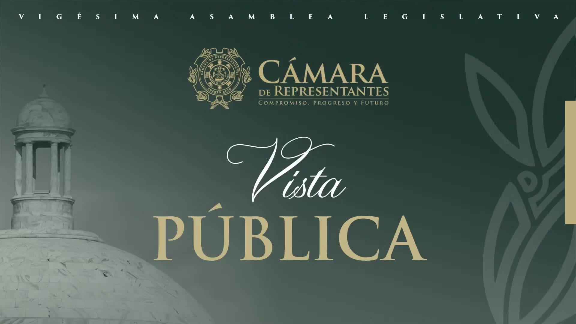 Comisión de Recursos Naturales discute proyecto para regular casetas y muelles en La Parguera