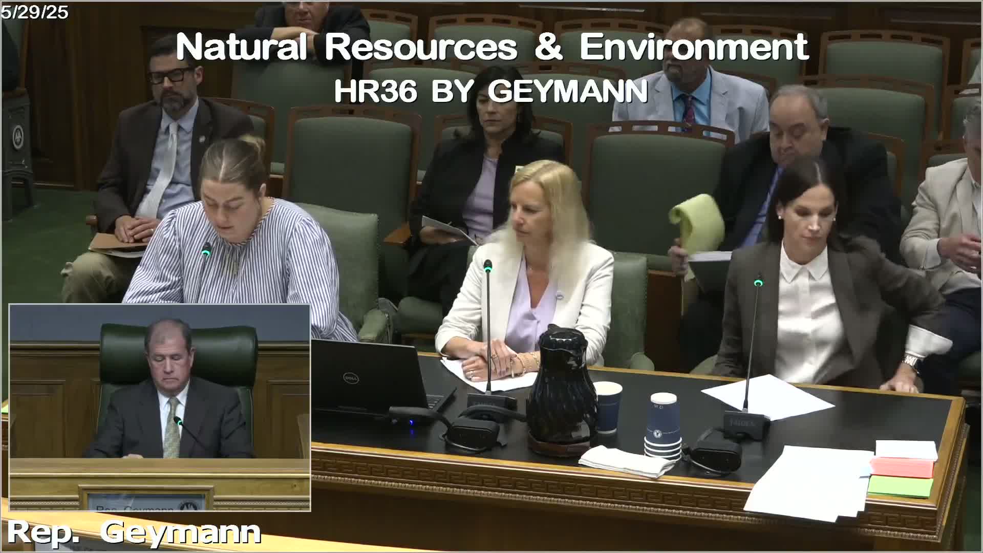 Chairperson Dove halts Mid Barataria Sediment Diversion during Coastal Master Plan discussion
